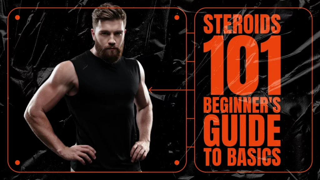 anabolic steroids beginner guide basics risks