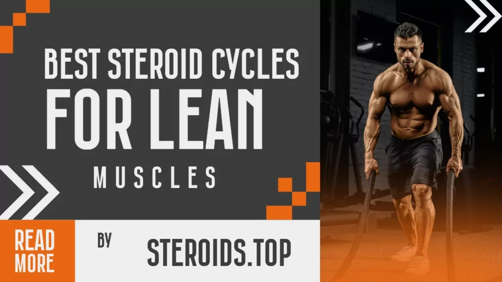 steroid cycles for lean muscle